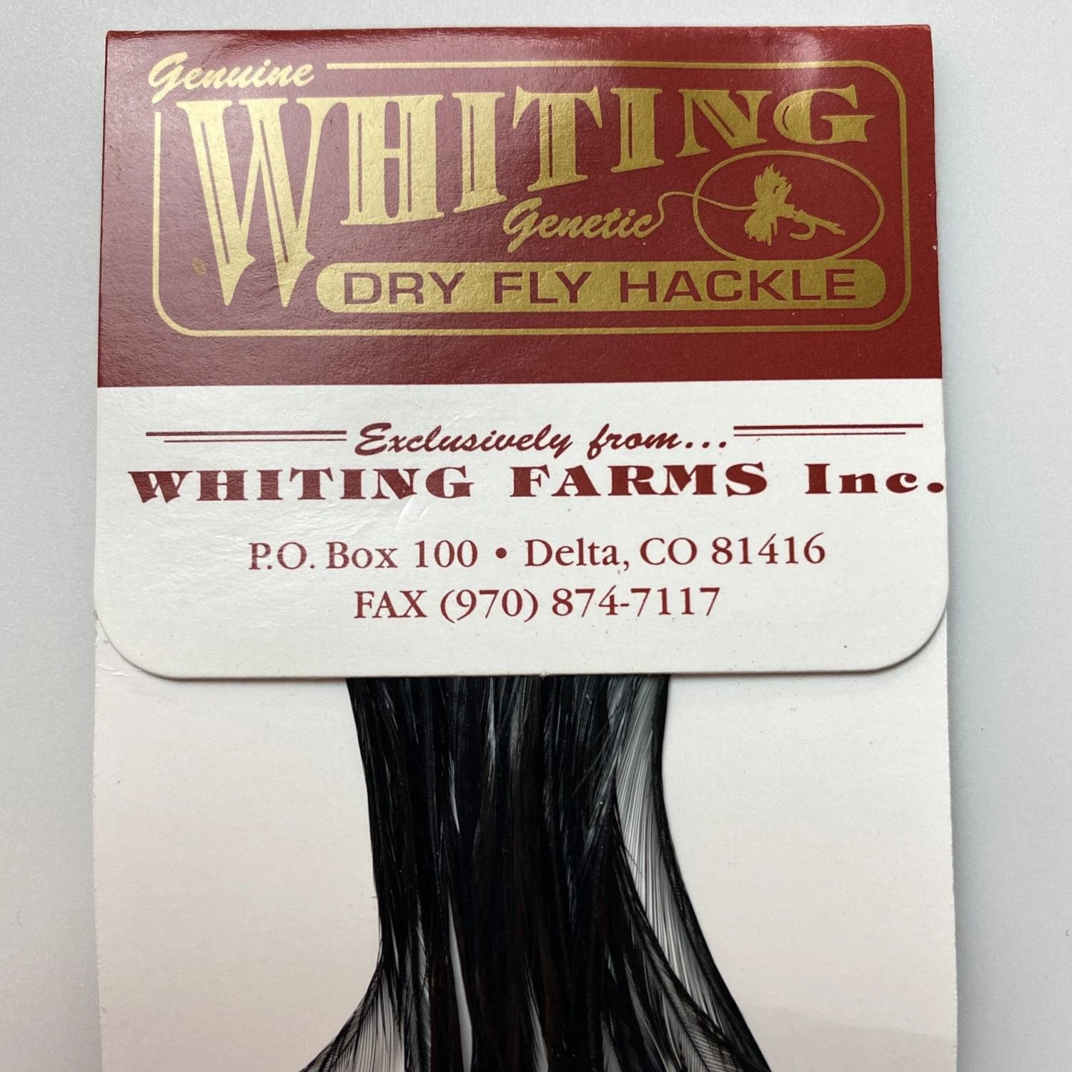 Whiting 100 Pack Dry Fly Hackle - Black - 16 1 Whiting 100 Pack Dry Fly Hackle - Black - 16
