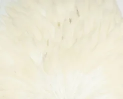 Hareline - Hen Saddle -Simms || Rio || Scientific Anglers tên blog Sales Store HSAD72