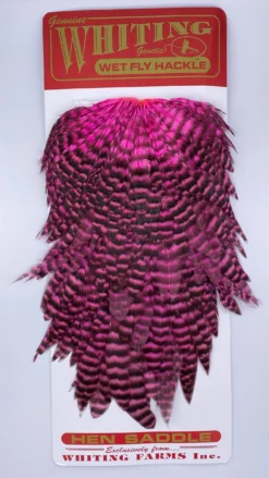 Whiting Red Label Hen Saddle -Simms || Rio || Scientific Anglers tên blog Sales Store IMG 9181 scaled