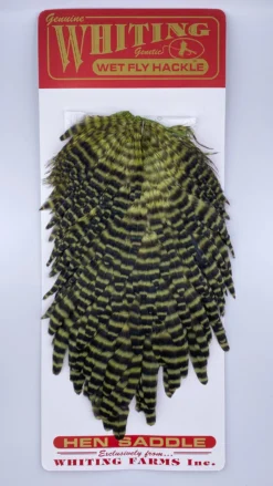 Whiting Red Label Hen Saddle -Simms || Rio || Scientific Anglers tên blog Sales Store IMG 9182 scaled