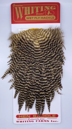 Whiting Red Label Hen Saddle -Simms || Rio || Scientific Anglers tên blog Sales Store IMG 9188 scaled