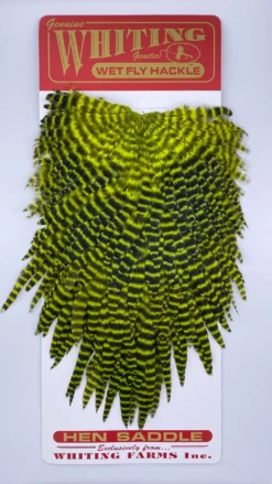 Whiting Red Label Hen Saddle -Simms || Rio || Scientific Anglers tên blog Sales Store IMG 9189 scaled