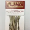 Whiting 100 Pack Dry Fly Hackle - Silver Badger - 16